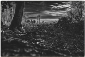 fotoatelier der bildermacher lichtgeschichten in schwarz weis portrait und mensch fotografie `98 portrait sensual boudoir fineart lifestyle kinky